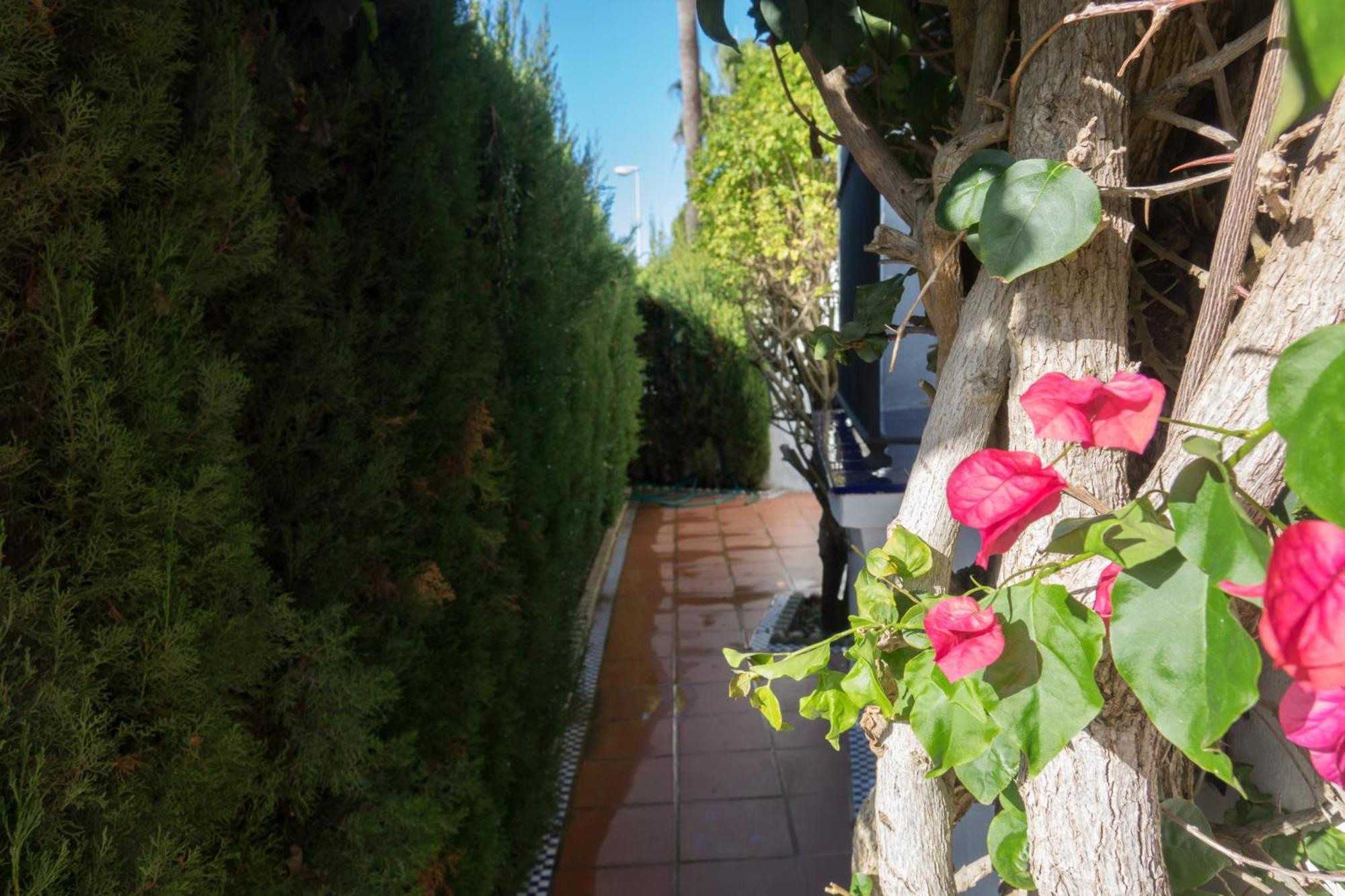 Apartamento Alextia La Barrosa - con WiFi Chiclana de la Frontera Exterior foto